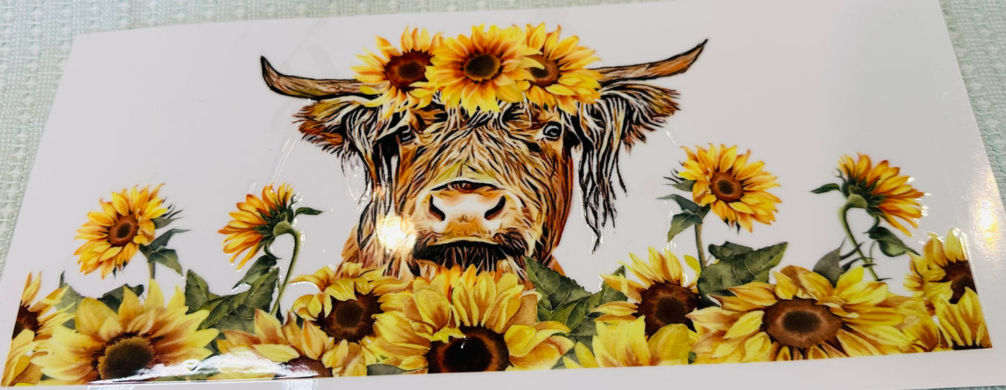 #295 HIGHLAND SUNFLOWER COW