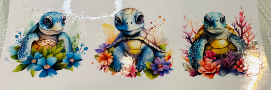 #8 TURTLE 2