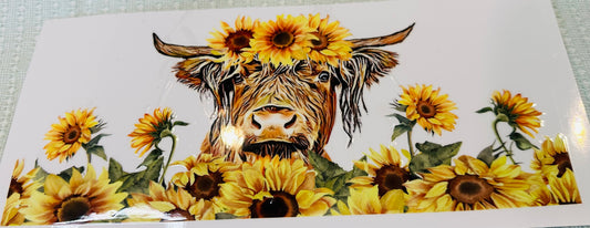 #295 HIGHLAND SUNFLOWER COW