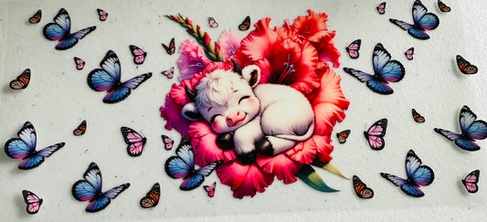 #281 COW CUTIE PINK