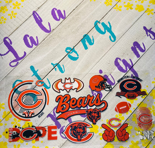 #100 BEARS FOOTBALL