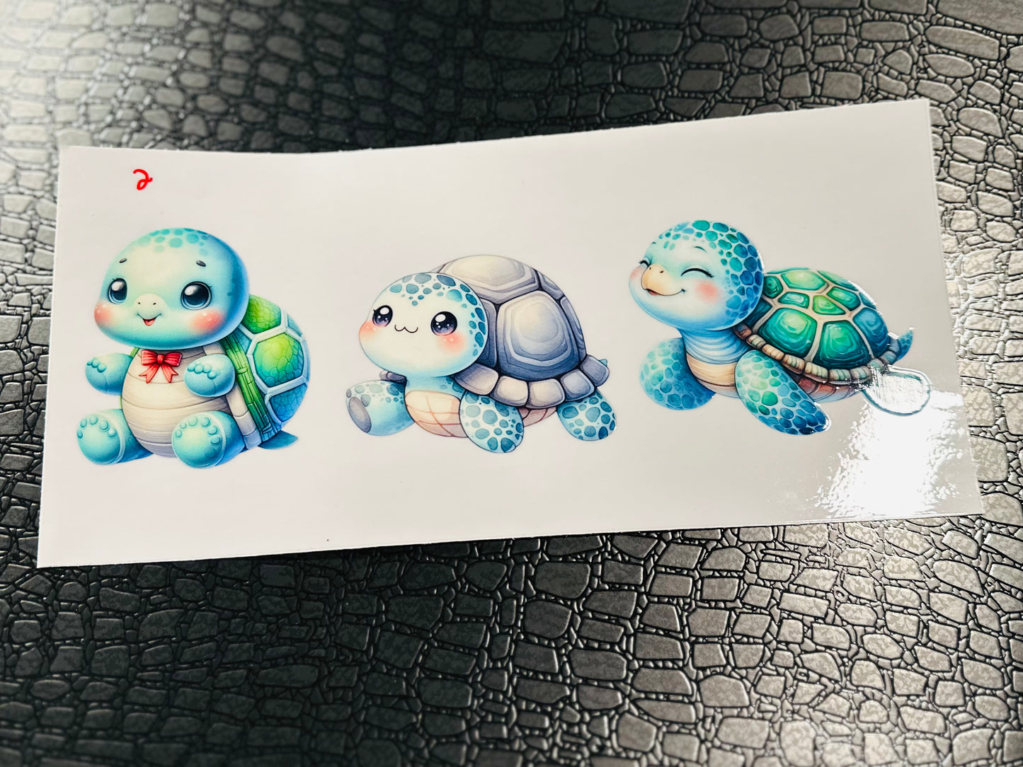 #11 TURTLE BABIES