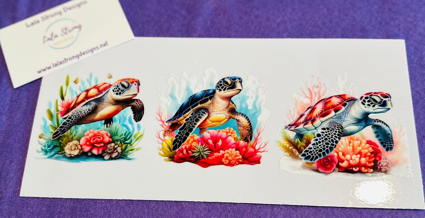 #441 TURTLES