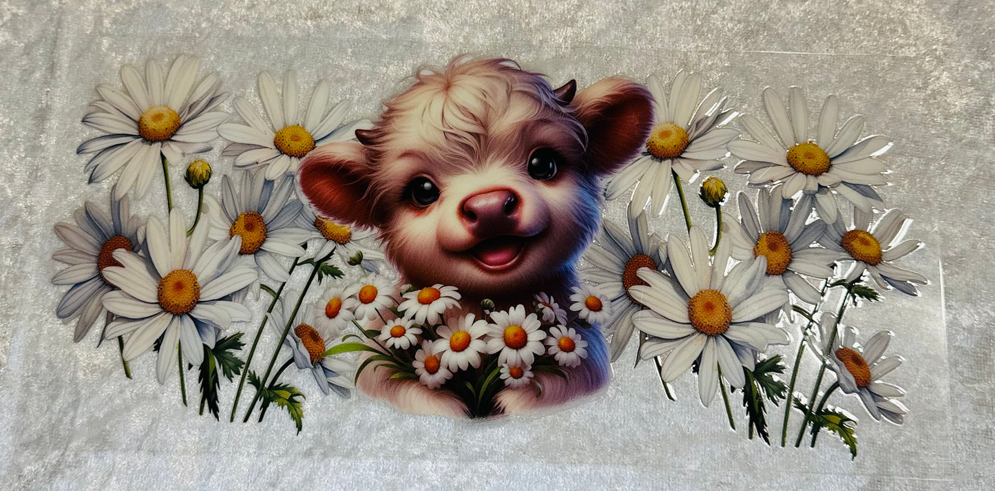 #475 WHITE CALF W/DAISIES