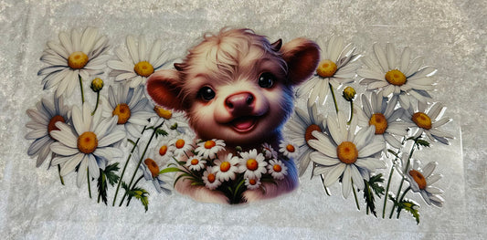 #475 WHITE CALF W/DAISIES