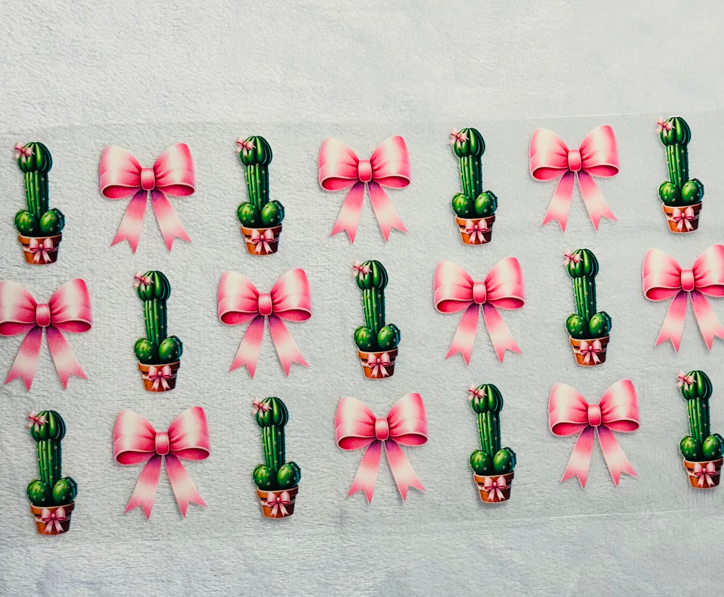 #474 ADULT CACTUS